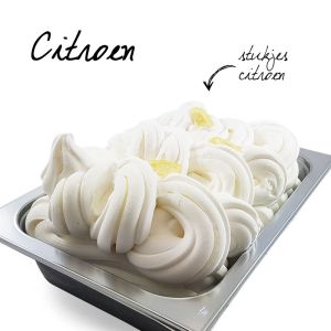 Citroen plant based Sorbet  ± 8,5 Liter