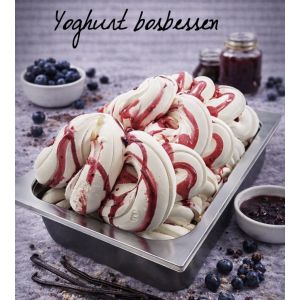 Yoghurt Bosbessen Senso-Gelato 